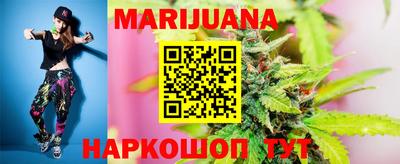шишки Донской