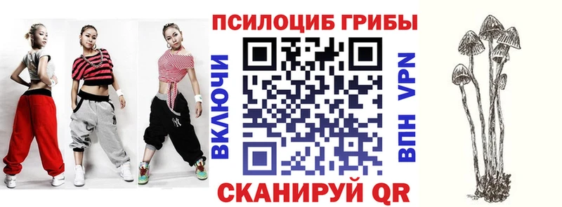 omg как зайти  Дербент  Галлюциногенные грибы мухоморы 
