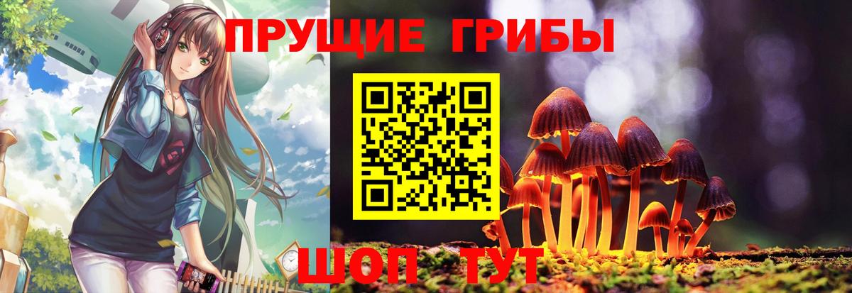 Псилоцибиновые грибы ЛСД  Псилоцибиновые грибы Psilocybe  Дербент  что такое наркотик  Вход с VPN 
